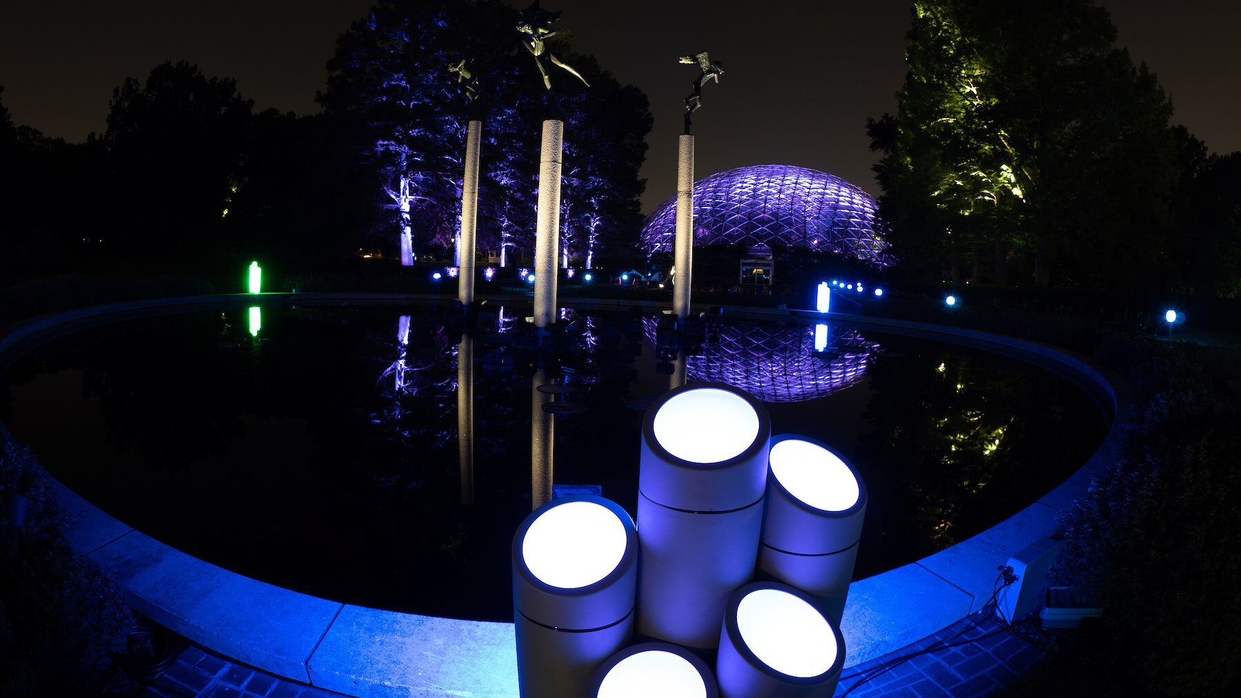 Flora Borealis is a light projection installation at Missouri Botanical Garden. | FORTÉ